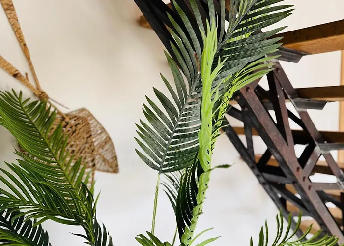 Le Domaine D Isa Maison Elor 度假居