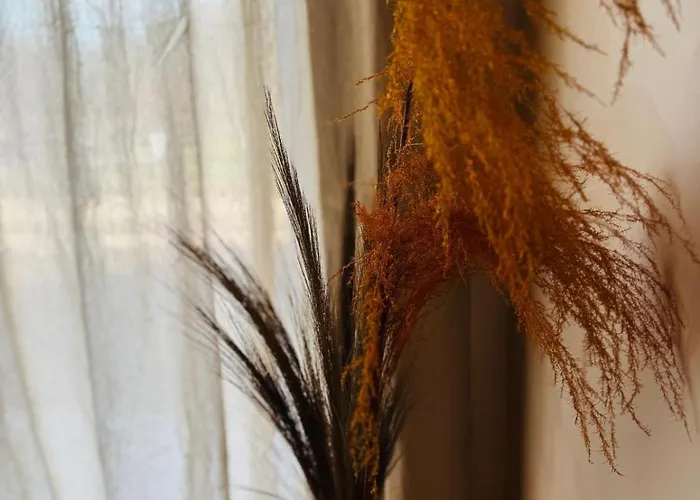 度假居 Le Domaine D Isa Maison Elor Vienville